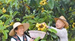 【尹老太太
 /尹老太太最新】