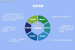 选助力接单平台要考虑啥？这十个关键因素得知道