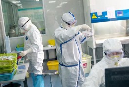 河南新增本土确诊病例12例
 （河南新增本土确诊病例12例详情）