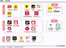 想在快手脱颖而出？流量推广软件使用技巧与策略大揭秘