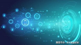 数字化时代！免费获取网站访客妙招及AI红包流量获取教程