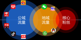 粉丝经济下粉丝下单链接与私域转化的优劣势探讨