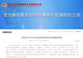 【31省新增本土确诊40例
 /31省新增本土确诊病例40例】