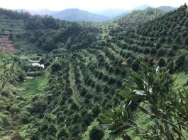 消费金融数据助力商家破解获客难题，精准定位降成本