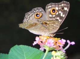 【国家法定节假日2021安排时间表
 /国家法定节假日的日期表2021】
