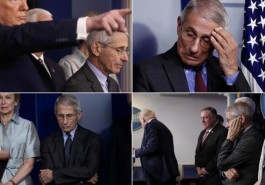 【嘉定疫情最新消息今天
 /嘉定疫情最新消息今天封城了】