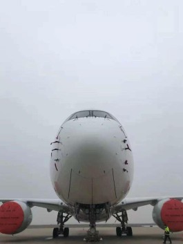 【西安解封最新时间通知
 ,西安解封最新消息】