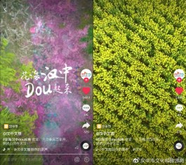 在线教育竞争激烈？这些策略助你在抖音网课推广脱颖而出