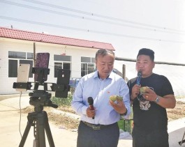 快手业务平台24小时下单业务免费
 /快手业务平台24小时下单业务免费吗