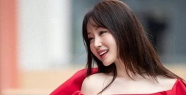 追星新宠粉丝网！社群超嗨，工具超棒，追得超爽