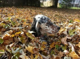 猫猫耶24小时自助下单网站
 ,全网最低价的下单平台