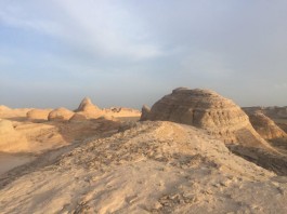 【新疆疫情最新通知
 /新疆疫情最新通知今天】