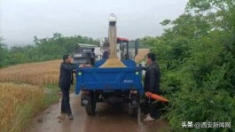 晴天美好瞬间：游玩聚会追童趣，情感纽带心间筑