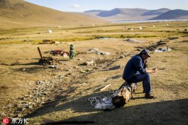 业务代网下单
 ,业务代网下单怎么操作