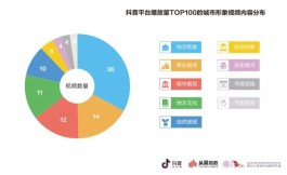 520 抖音营销秘籍：涨抖音 520 网站算法匹配与内容策略解析