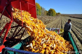 吉林新增本土确诊1730例
 ,吉林新增本土确诊1730例是哪里的