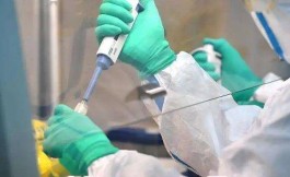 青岛新增本土确诊29例无症状129例
 （青岛新增本土确诊29例无症状129例）