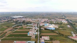 【莱西新闻网
 ,莱西新闻网络在线直播】