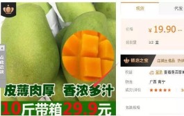 闲鱼粉丝业务平台代运营与引流工具优劣势大比拼