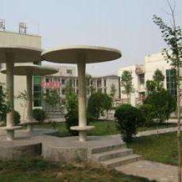 【河南郸城县
 ,河南郸城县天气预报】