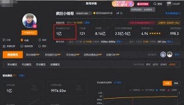快手10万+观看量背后：是真爆火还是虚热闹？快戳