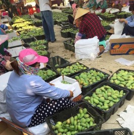 互联网发展下，全网最低价网站成新消费常态，影响购物习惯