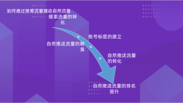 快手代刷人气平台清风网，快速涨赞提升账号曝光率