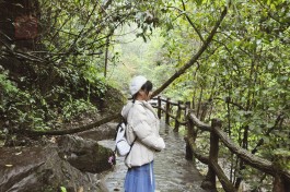 社交媒体增粉乱象：秒粉丝带来的五万粉狂欢，却是限流噩梦开场