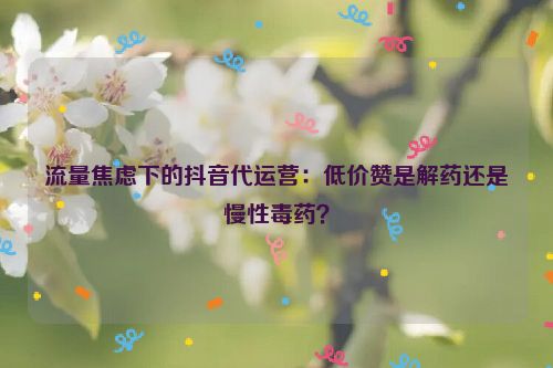 流量焦虑下的抖音代运营：低价赞是解药还是慢性毒药？